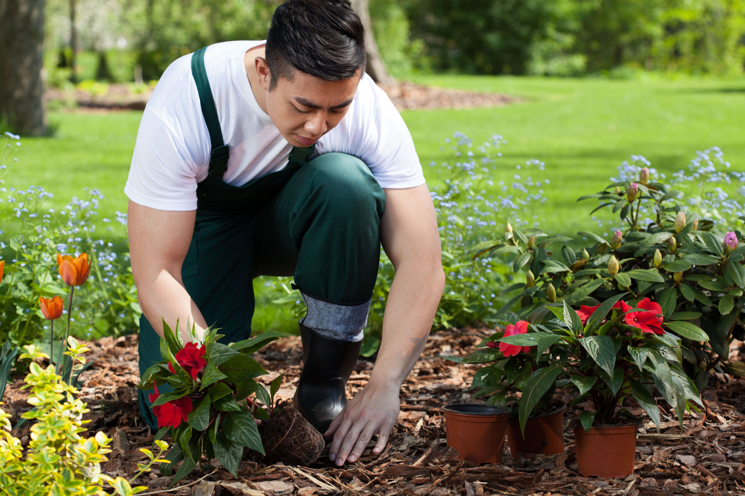 Get Your Dream Garden With Excellent Lawn Mowing And Gardening Services